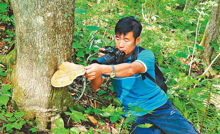 ◆周繇在黑龍江茅蘭溝國家級自然保護區考察植物。受訪者供圖