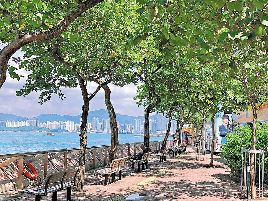 ◆環港島海岸線上的壯美風景。作者供圖