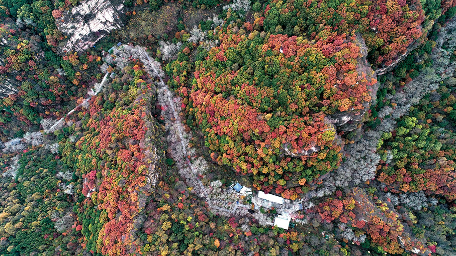 ◆駝梁自然風景區秋景