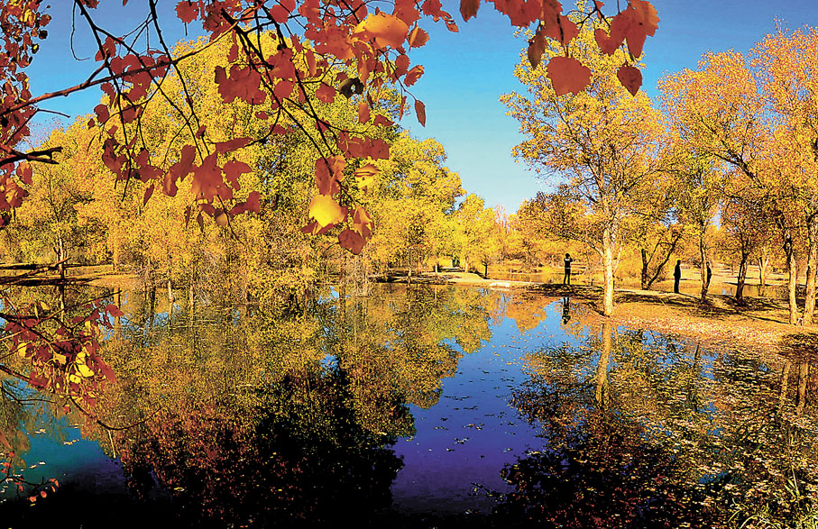 ◆遊客在甘肅省金塔縣胡楊林景區拍照遊玩