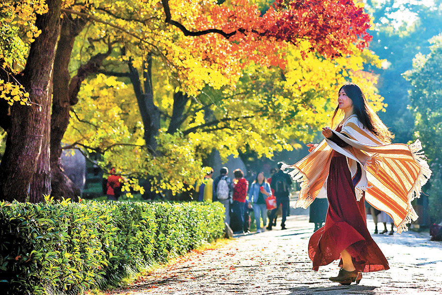 ◆市民在紫金山明孝陵石象路遊覽