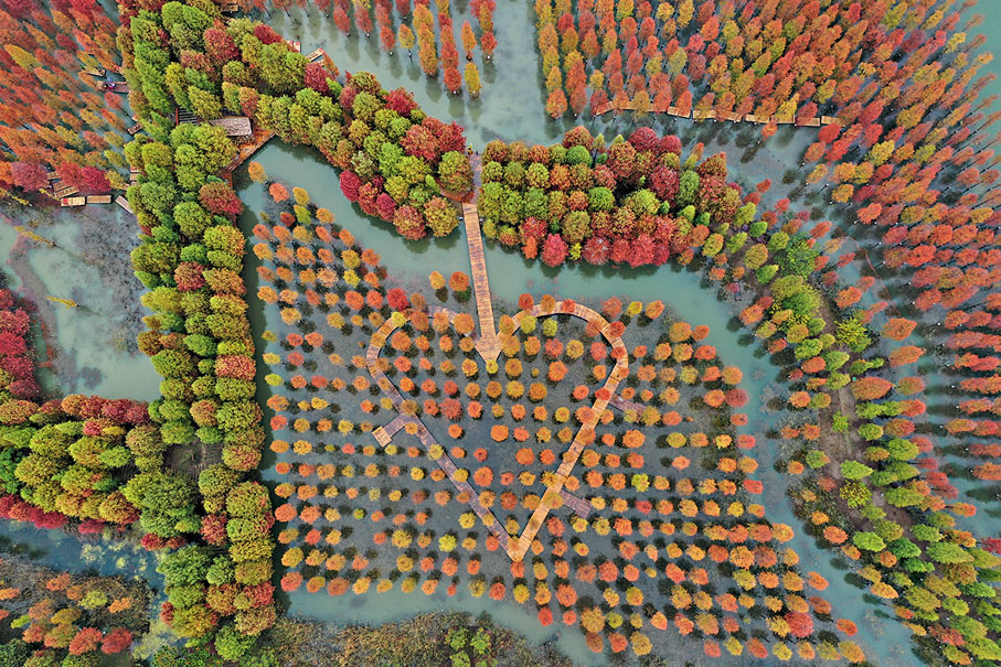 ◆泗洪洪澤湖濕地景區秋色