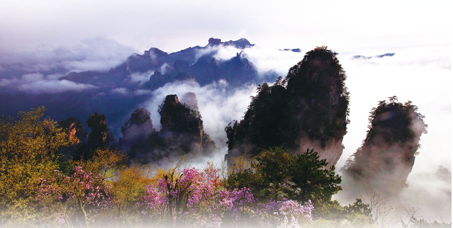 ◆張家界風光。受訪單位供圖