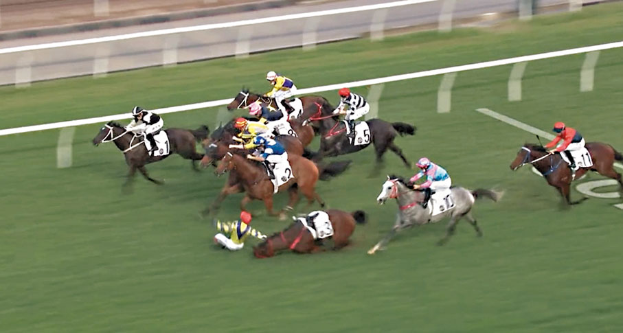 ◆ 策騎3號「勝得威風」的巴度因馬失前蹄墮地受傷。 網上截圖