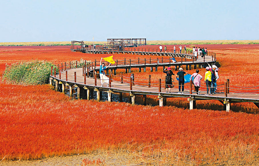◆遊客在盤錦市紅海灘國家風景廊道景區遊玩。