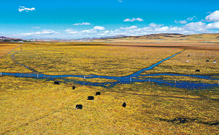 ◆日干喬濕地景色