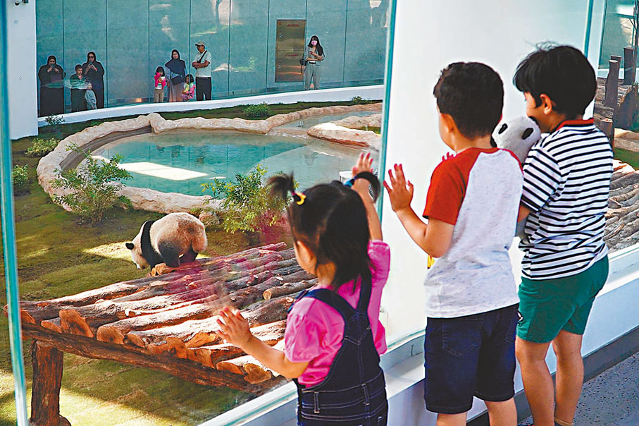 ◆當地小朋友被大熊貓的一舉一動吸引着。香港文匯報特派記者郭正謙  攝
