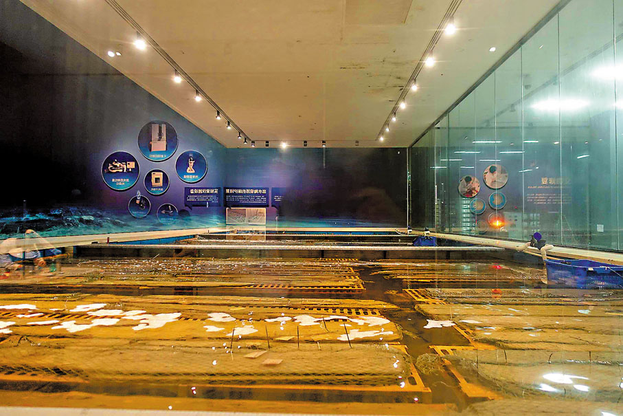 ◆浸泡水中正在進行處理的「華光礁Ⅰ號」沉船船板。