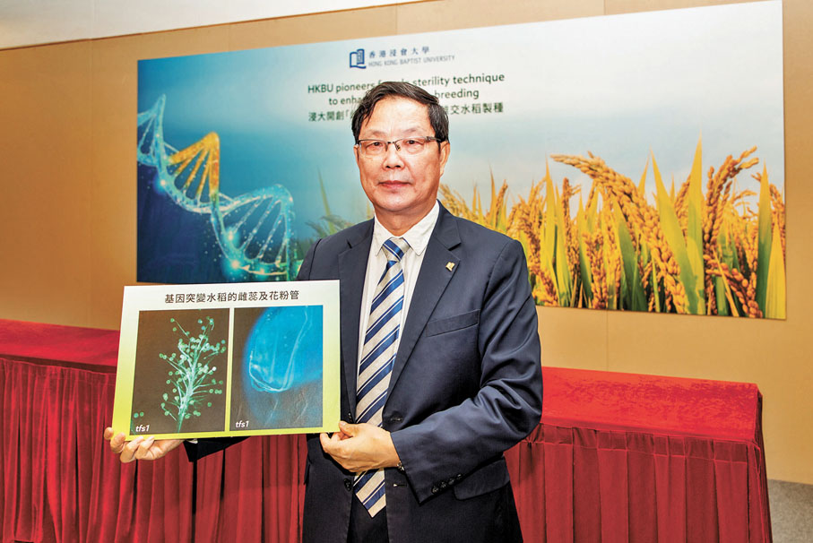 ◆ 張建華　浸大圖片