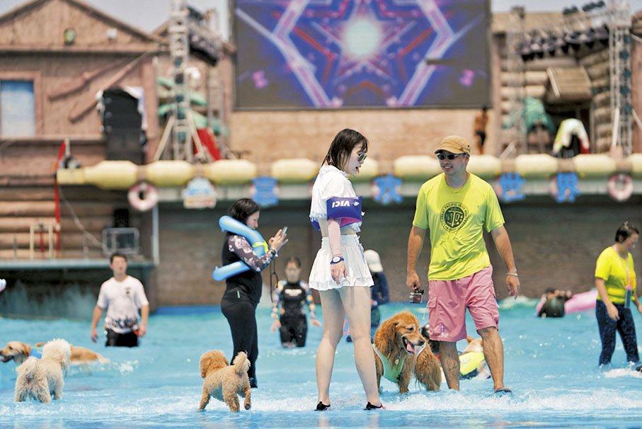 ◆ 內地養寵人群急速增加，催生出寵物出行、寵物醫療、寵物食品等寵物細分行業。圖為浪小爪組織的寵物旅行活動。  受訪者供圖