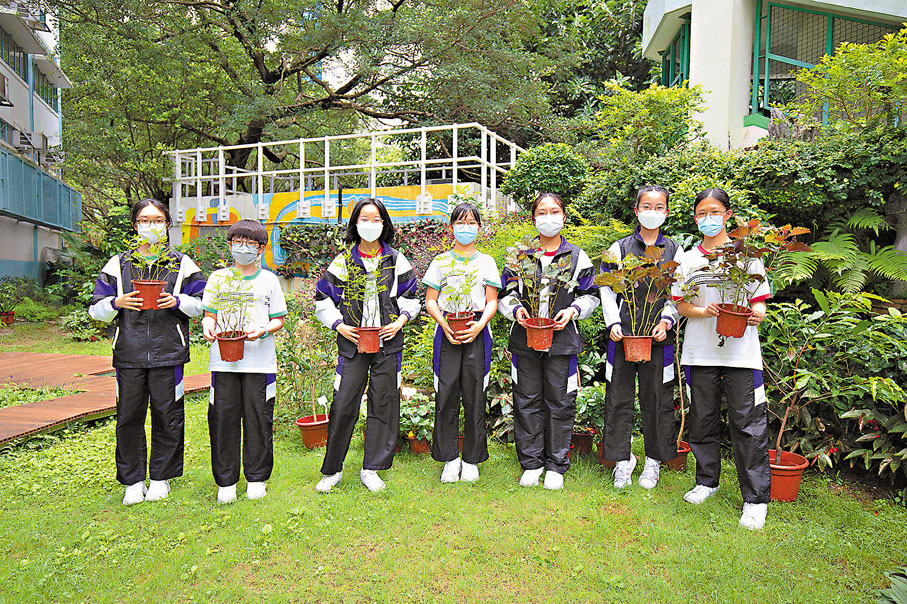◆ 學校建立中草藥園能美化校園環境，同時教育學生關於生態及物質循環的知識，更重要的是能夠達到在社區推廣環保及中醫藥文化之效。 作者供圖