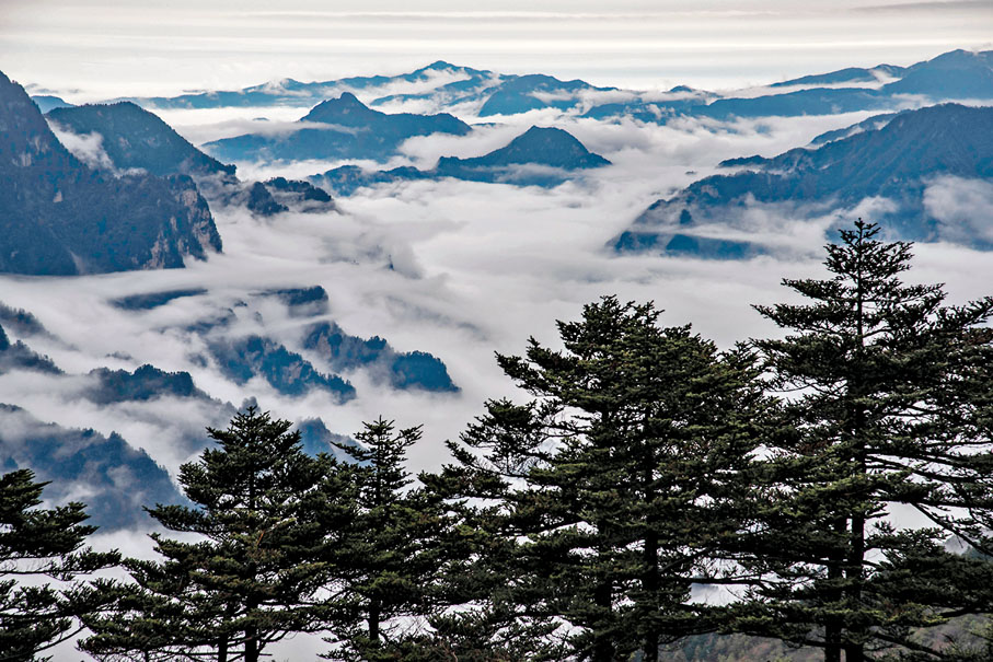 ◆神農架國家公園陰峪河大峽谷雲海。 資料圖片