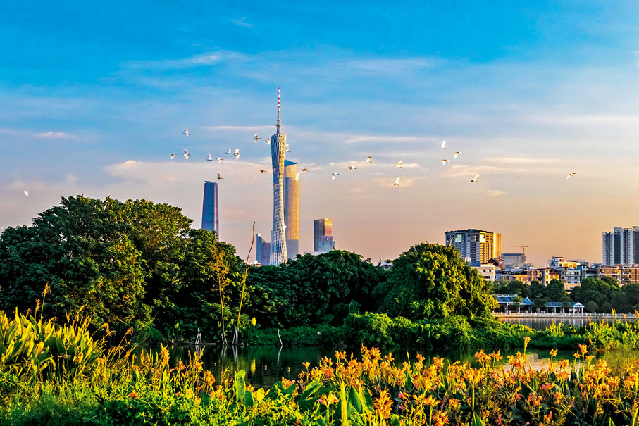 ◆廣州海珠國家濕地公園。 資料圖片