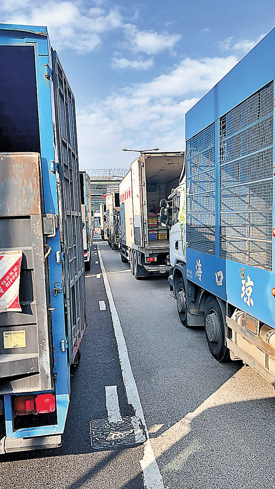 ◆粵港跨境運輸昨日恢復點對點，大量貨車排入關深圳文錦渡口岸。 香港文匯報記者李昌鴻 攝