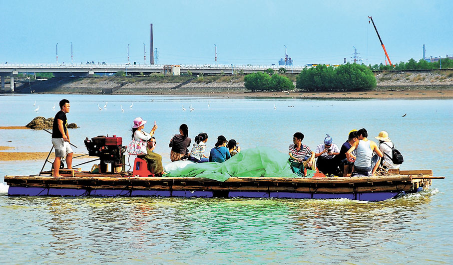 ◆在廣東電白水東灣紅樹林濕地，民眾乘坐船隻近距離觀鳥。 香港文匯報廣州傳真