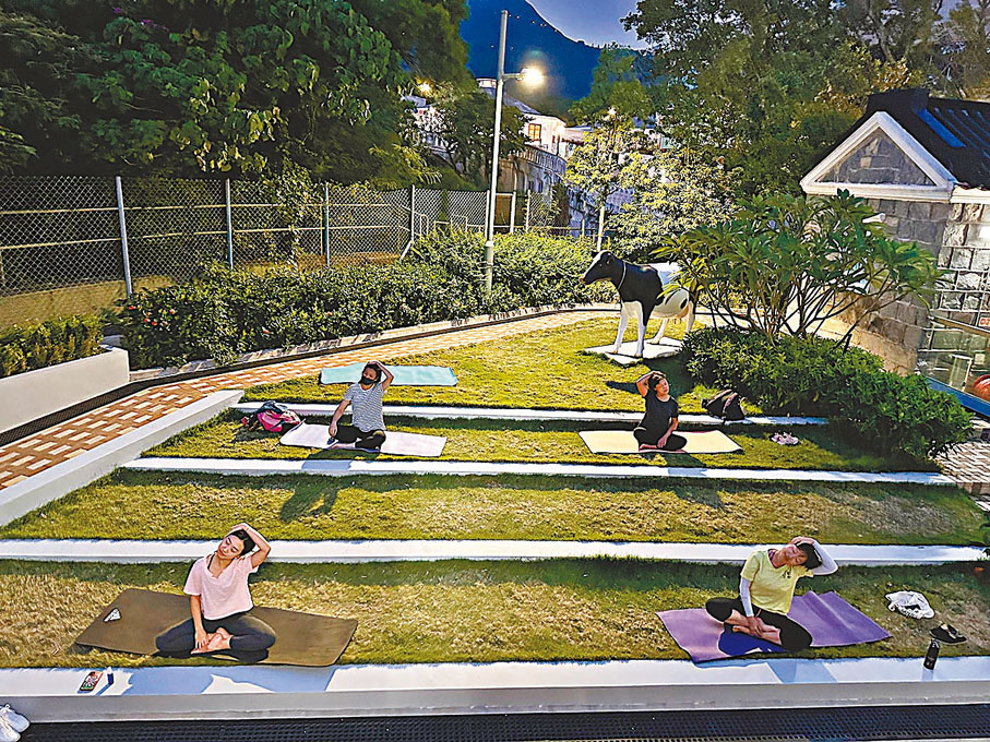 ◆薄鳧林牧場開設瑜伽班，邀市民在古蹟草地上感受日光初現與日落餘暉。