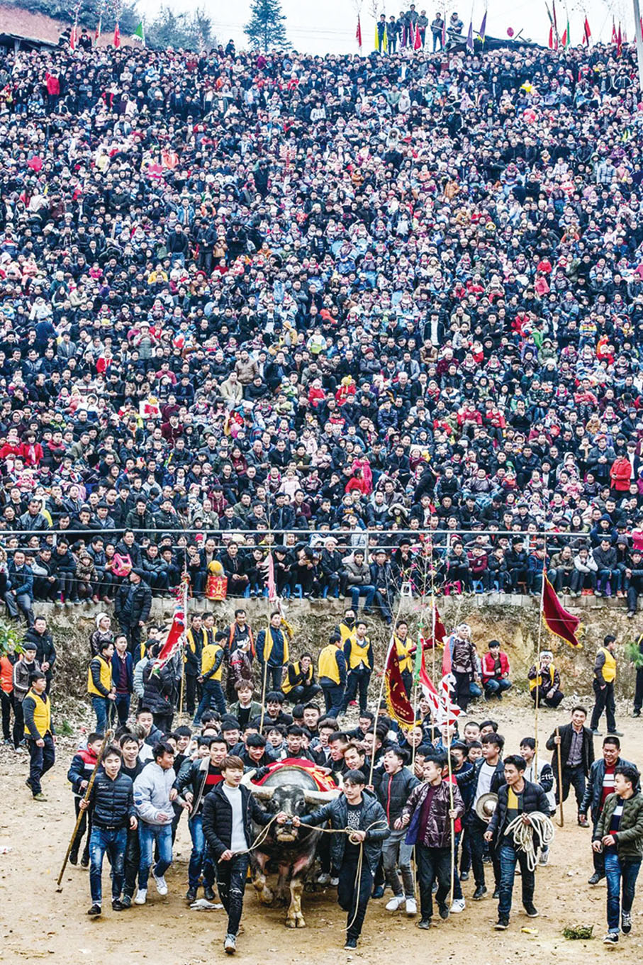 ◆ 從江縣東朗鎮松刀牛場，上萬人在觀看鬥牛。攝影：張琪