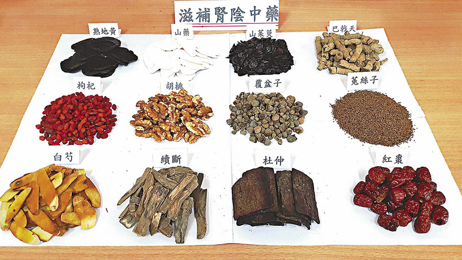 ◆中醫調理高齡不孕婦女的藥膳，以補腎為主。