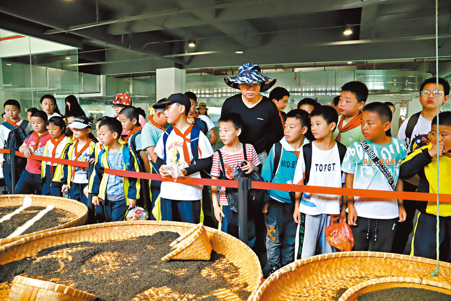 ◆小學生參觀祁門紅茶科博園。香港文匯報合肥傳真