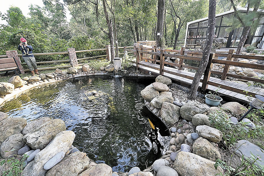 ◆工地景色怡人，休憩園中設有一個小型魚塘，員工和訪客可體驗用由廚餘製成的魚糧餵魚。 香港文匯報記者涂穴  攝