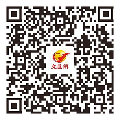梁美芬:議員更有精力做有意義的事