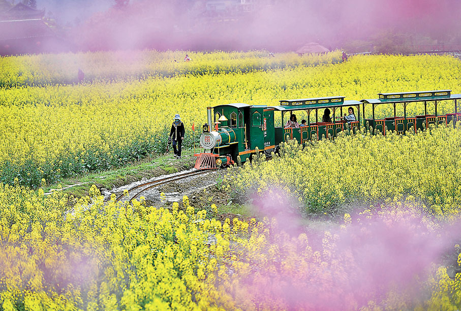 ◆遊客乘坐「小火車」在湖北省恩施土家族苗族自治州宣恩縣的油菜花田中欣賞春光。
