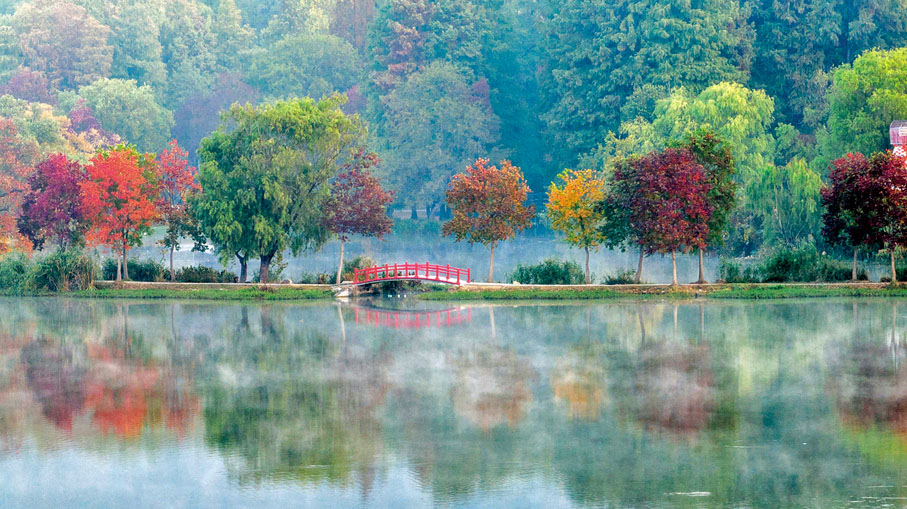 ◆在江蘇省南京市中山植物園拍攝的秋日晨景