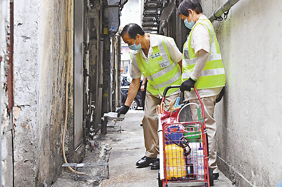◆食環署早前展開滅鼠行動。 資料圖片