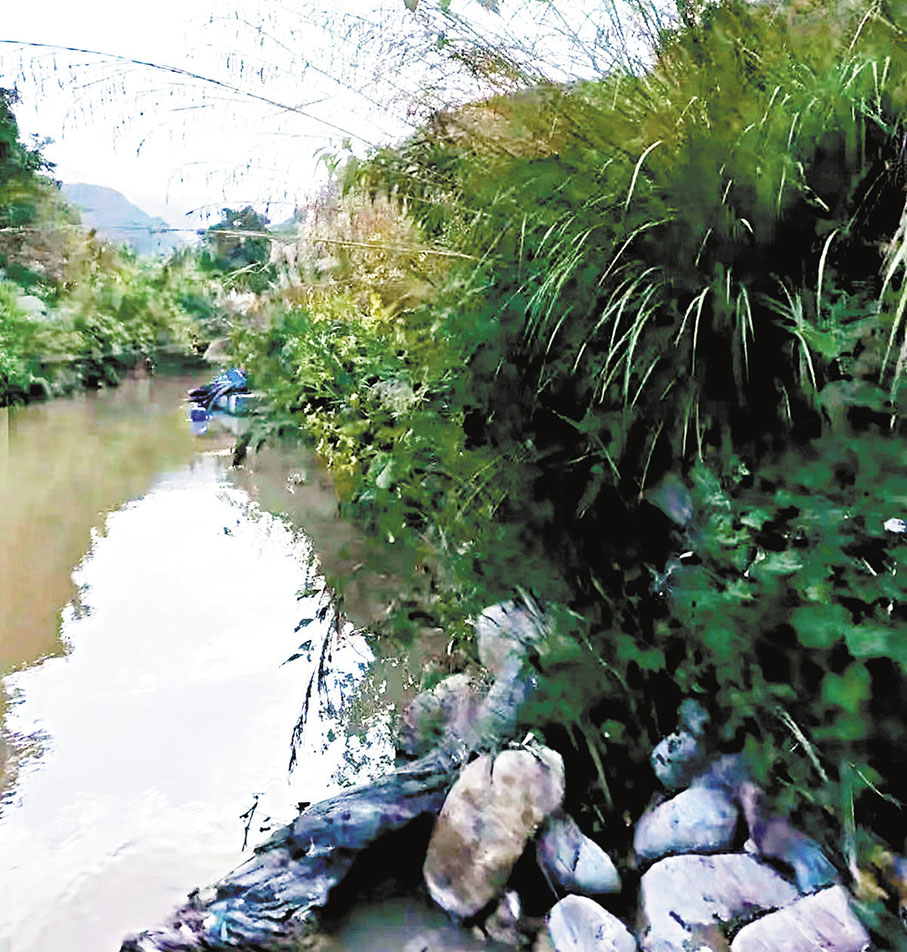 ◆南糯山下南傲河。 作者供圖