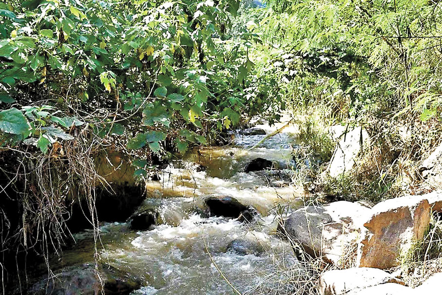 ◆南糯河　作者供圖