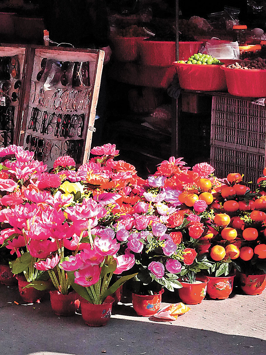 ◆春節期間揭陽市集的橘子樹和其他花朵盆栽是利是封面的年俗元素來源之一。香港文匯報杭州傳真