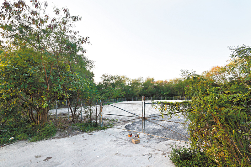 ◆元朗丹桂村配水庫旁一幅地皮擬興建50至60層的公營房屋。 香港文匯報記者鄺福強  攝
