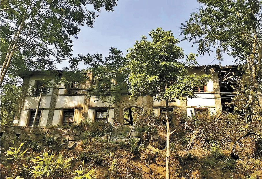 ◆南糯山茶廠廢墟。 作者供圖