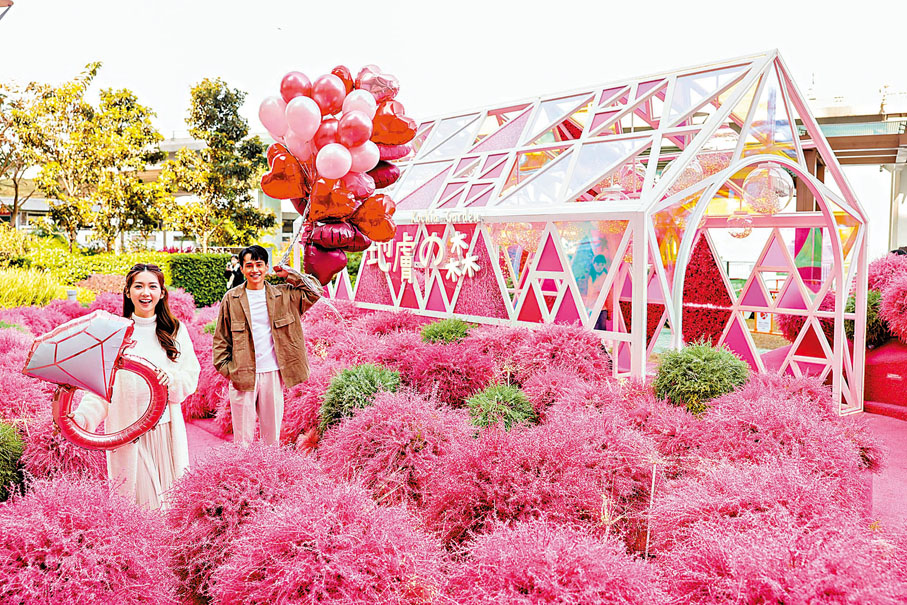 ◆北角海濱花園「地膚之森」