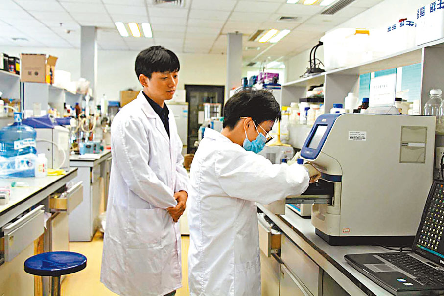 ◆專家認為，深圳亟需強化基礎研究，而香港高校基礎科研優勢突出，可以助力深圳科創。圖為香港城市大學深圳研究院實驗室。 資料圖片