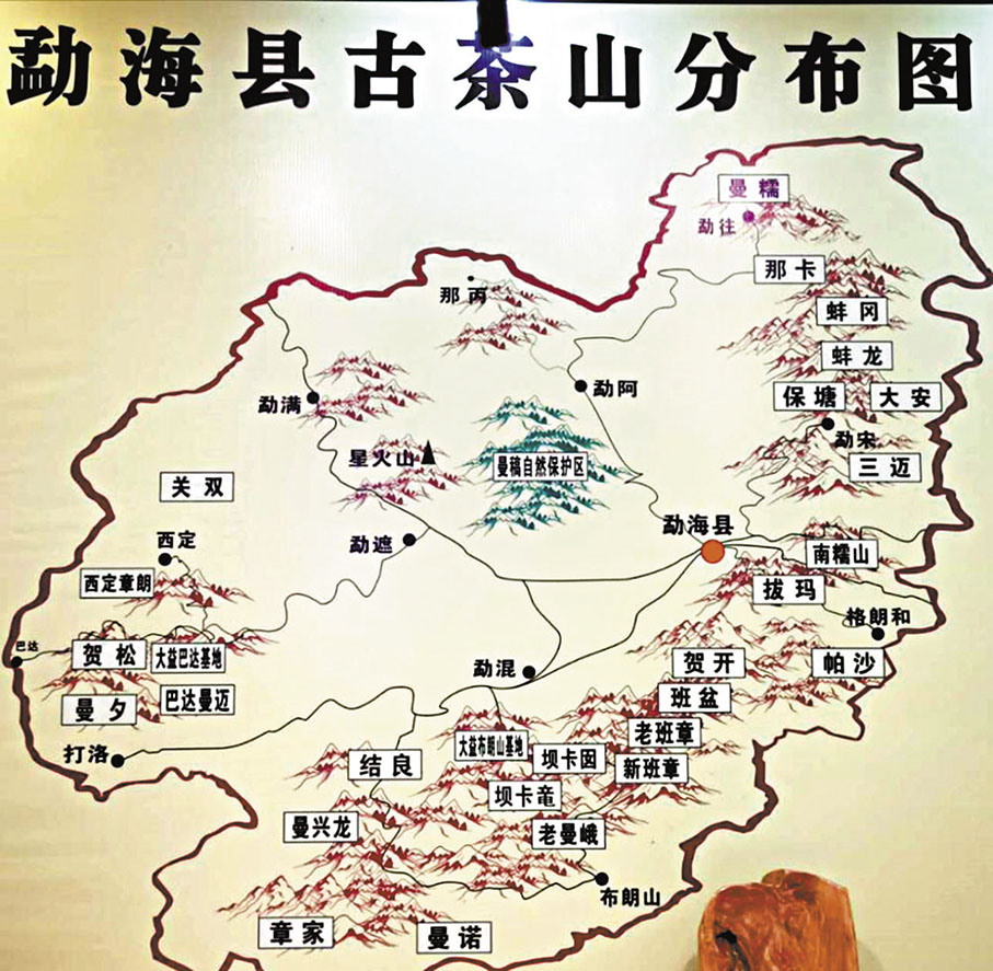 ◆勐海茶山圖 作者供圖