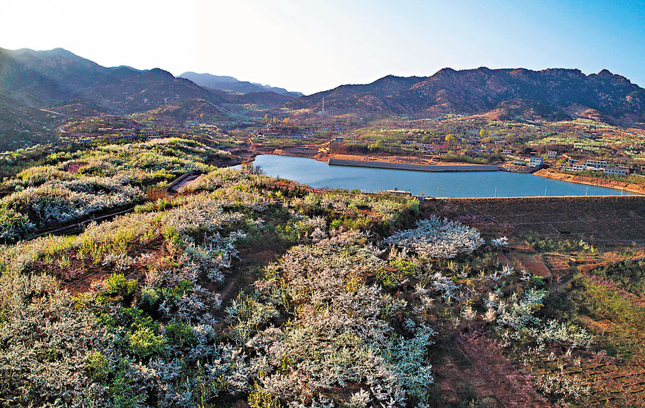◆ 曹操攻打袁氏勢力後，回程經過河北碣石山，寫下了著名的《觀滄海》。圖為碣石山。 資料圖片