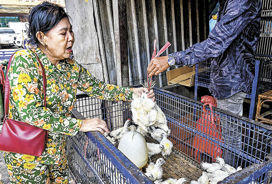 ◆柬埔寨9年來首錄人類感染禽流感，未阻民眾購買家禽。 法新社