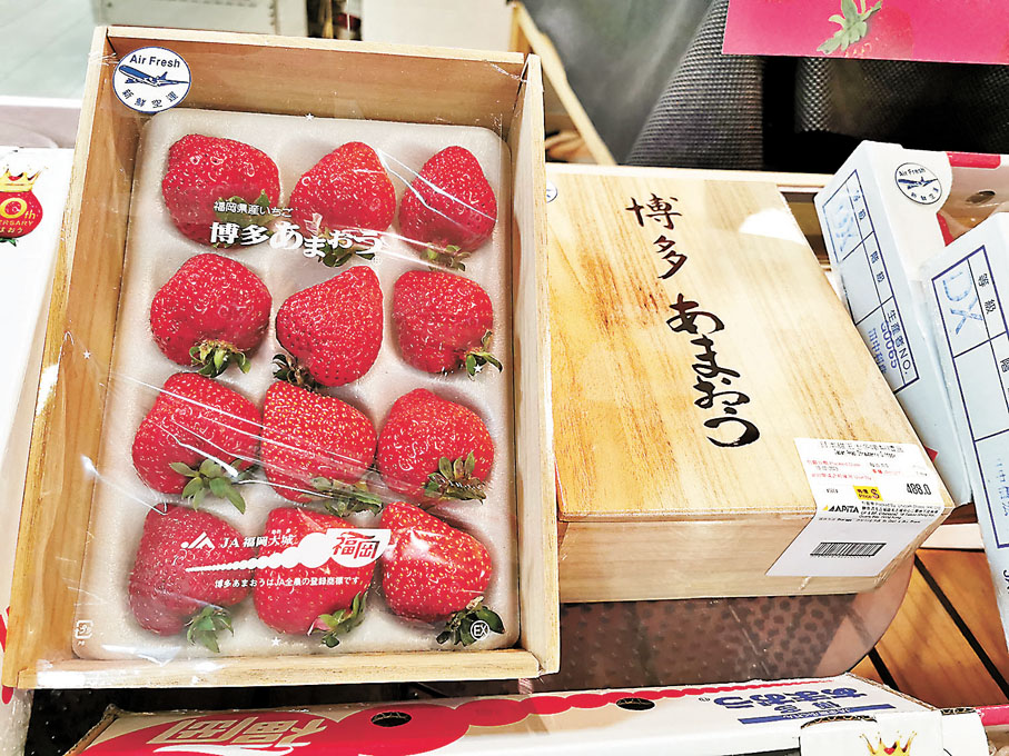 ◆博多士多啤梨