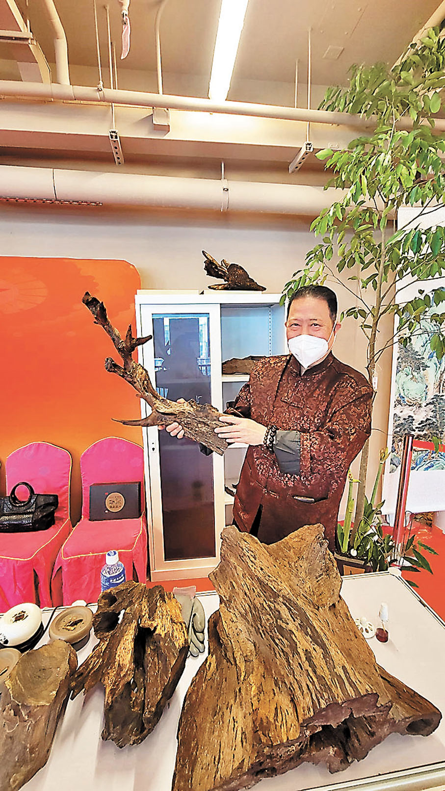 ◆《醫道鏡詮》香港百年歷展  展出很珍貴的沉香。