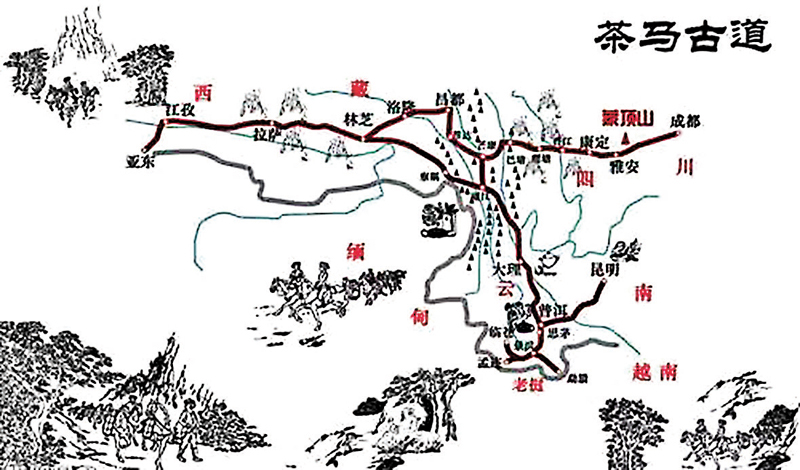 ◆茶馬古道網絡。作者供圖