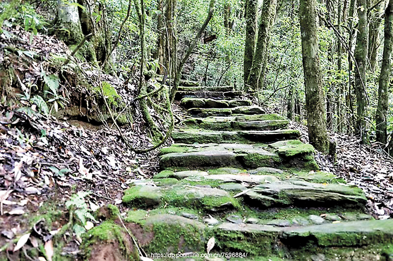 ◆茶馬古道遺址。作者供圖