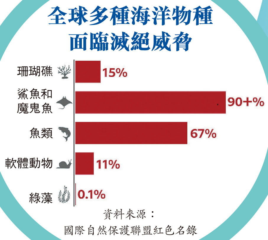 全球多種海洋物種面臨滅絕威脅