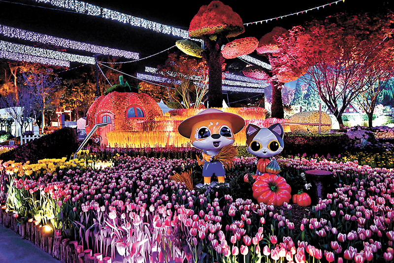 ◆每晚舉行的燈光音樂匯演，會場中軸線的園林造景結合燈光和音樂效果，在夜幕下另有一番景象。