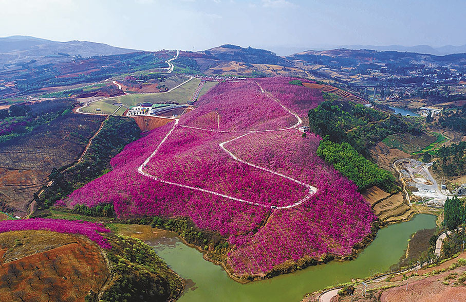 ◆雲南省昆明市宜良縣山後櫻花谷一景