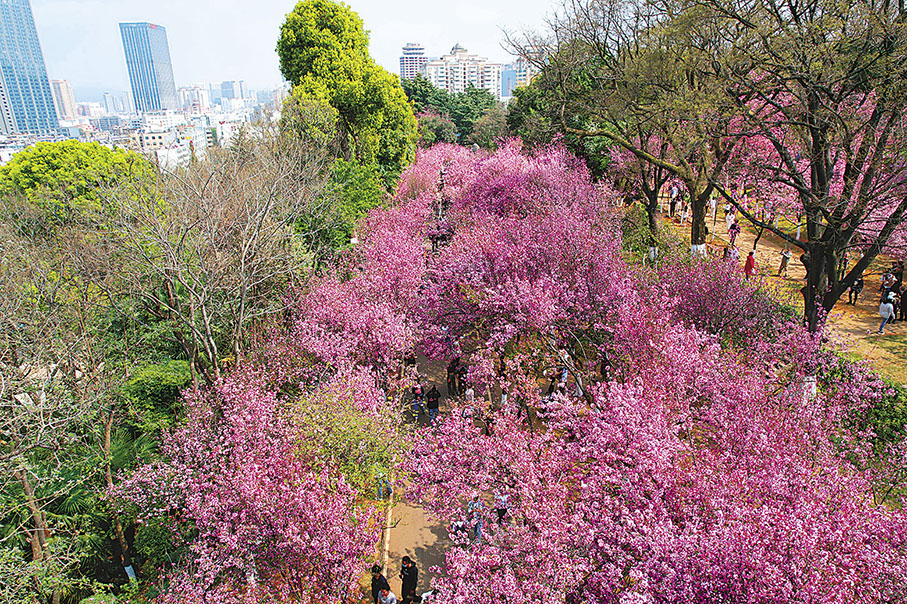 ◆圓通山的昆明動物園