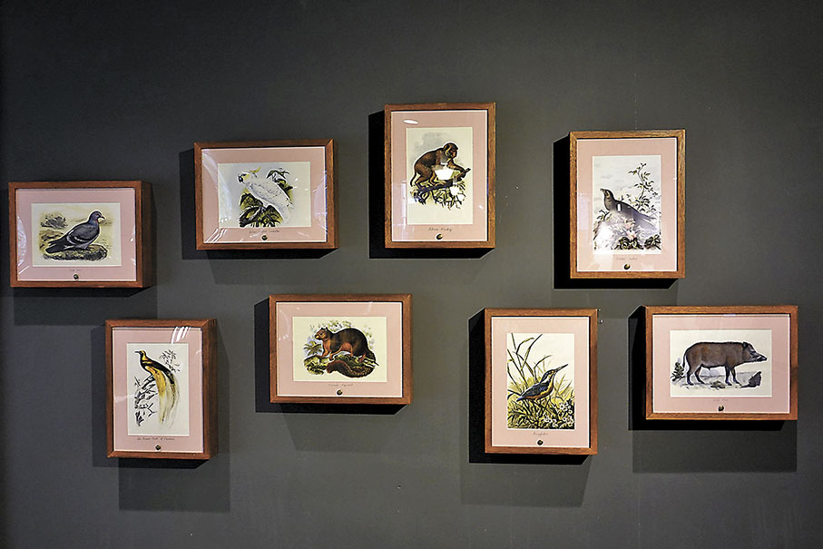 ◆每幅雀鳥和野生動物插圖旁都配有聲音裝置及說明。