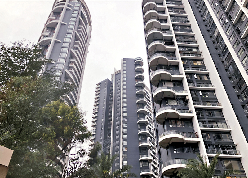 ◆ 福田區中信紅樹灣在兩地恢復全面通關後，約有20套為港人買入。