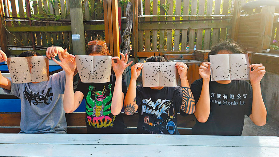 ◆流浮山近日有至少100戶村民受「蠅患」所困，每天拿出烏蠅紙黐蒼蠅，成為唯一的自救方法。