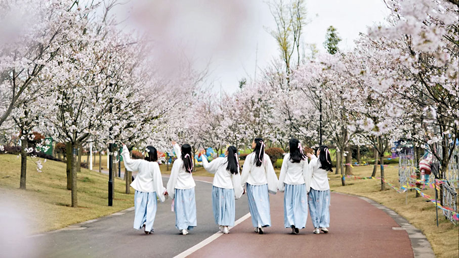 ◆眉山櫻花博覽園